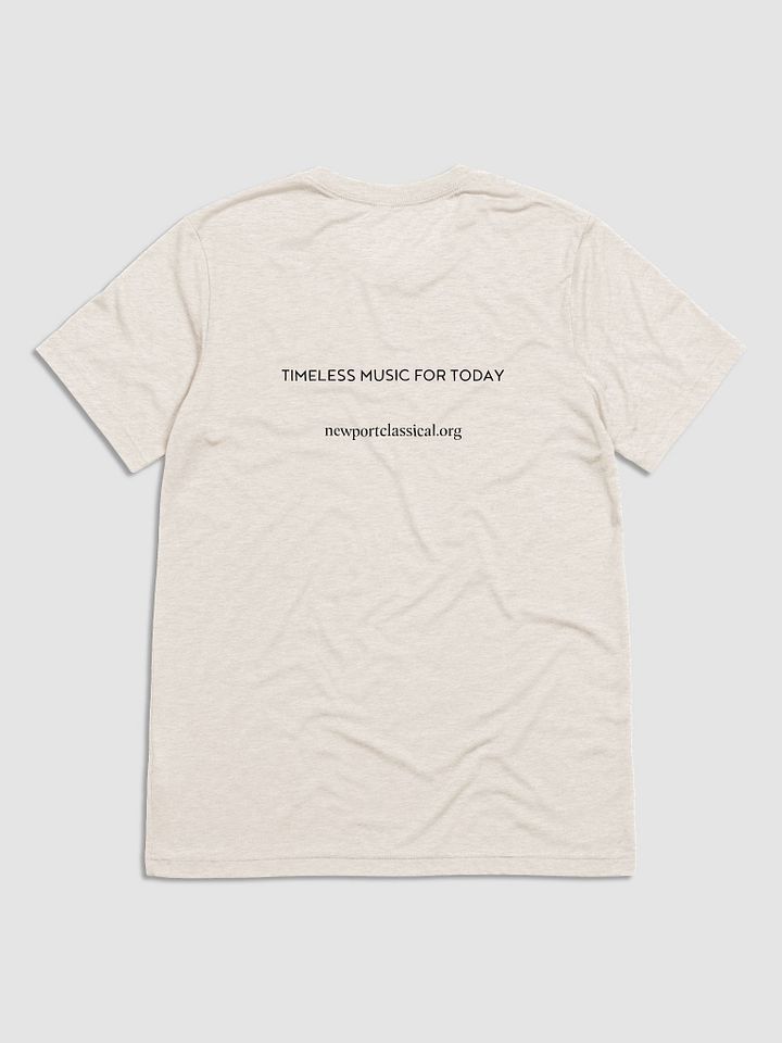 Festival T-Shirt product image (2)