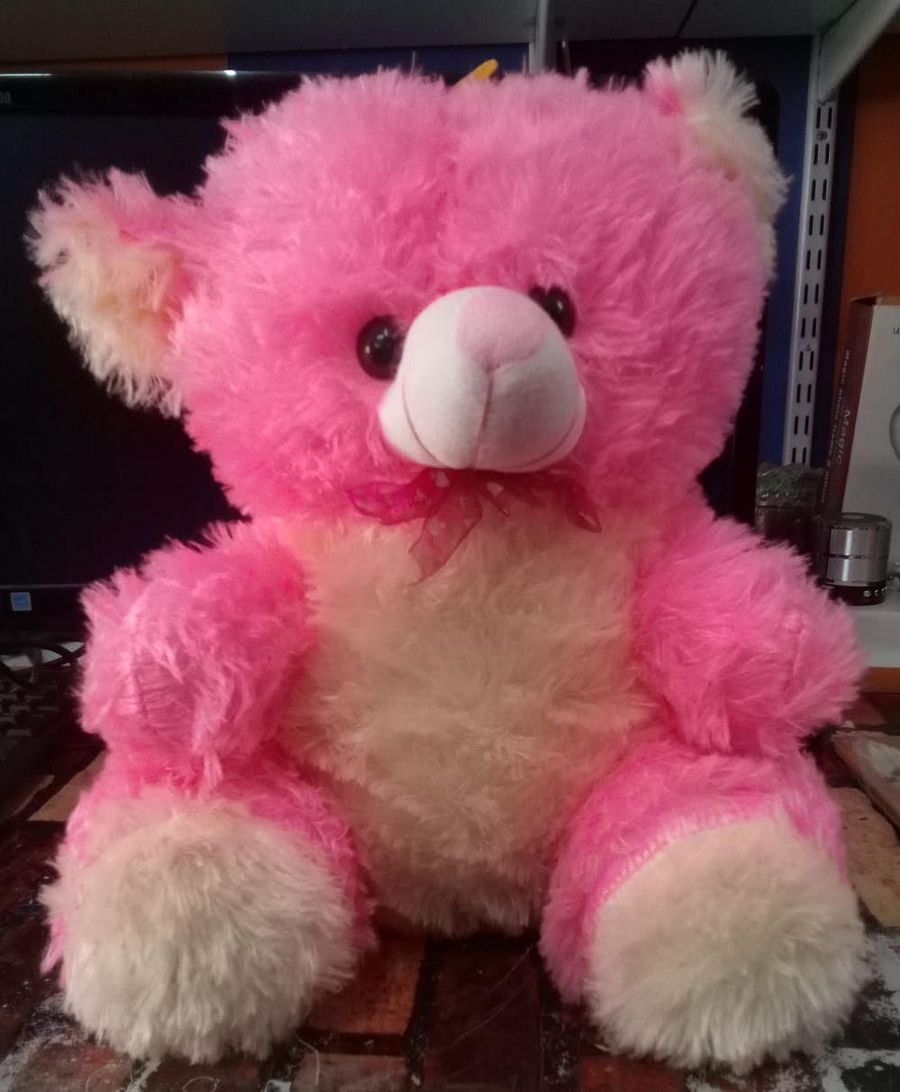 TEDDY BEAR product image (1)