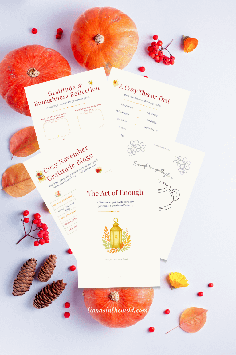 The Art of Enough November bundle product image (1)