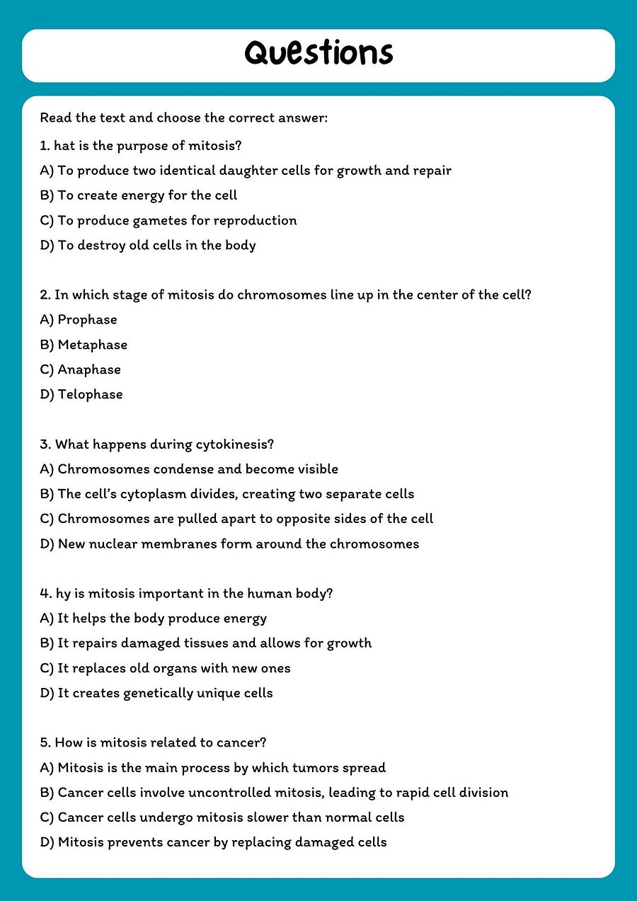 Mitosis Reading Comprehension Passage & Questions product image (2)
