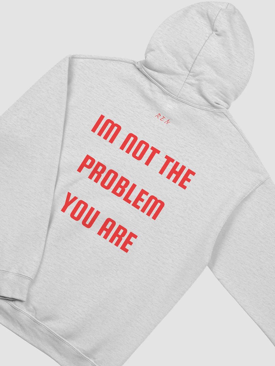 not the problem hoodie product image (4)