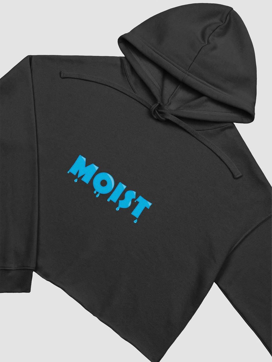 Moist Crop Hoodie product image (3)