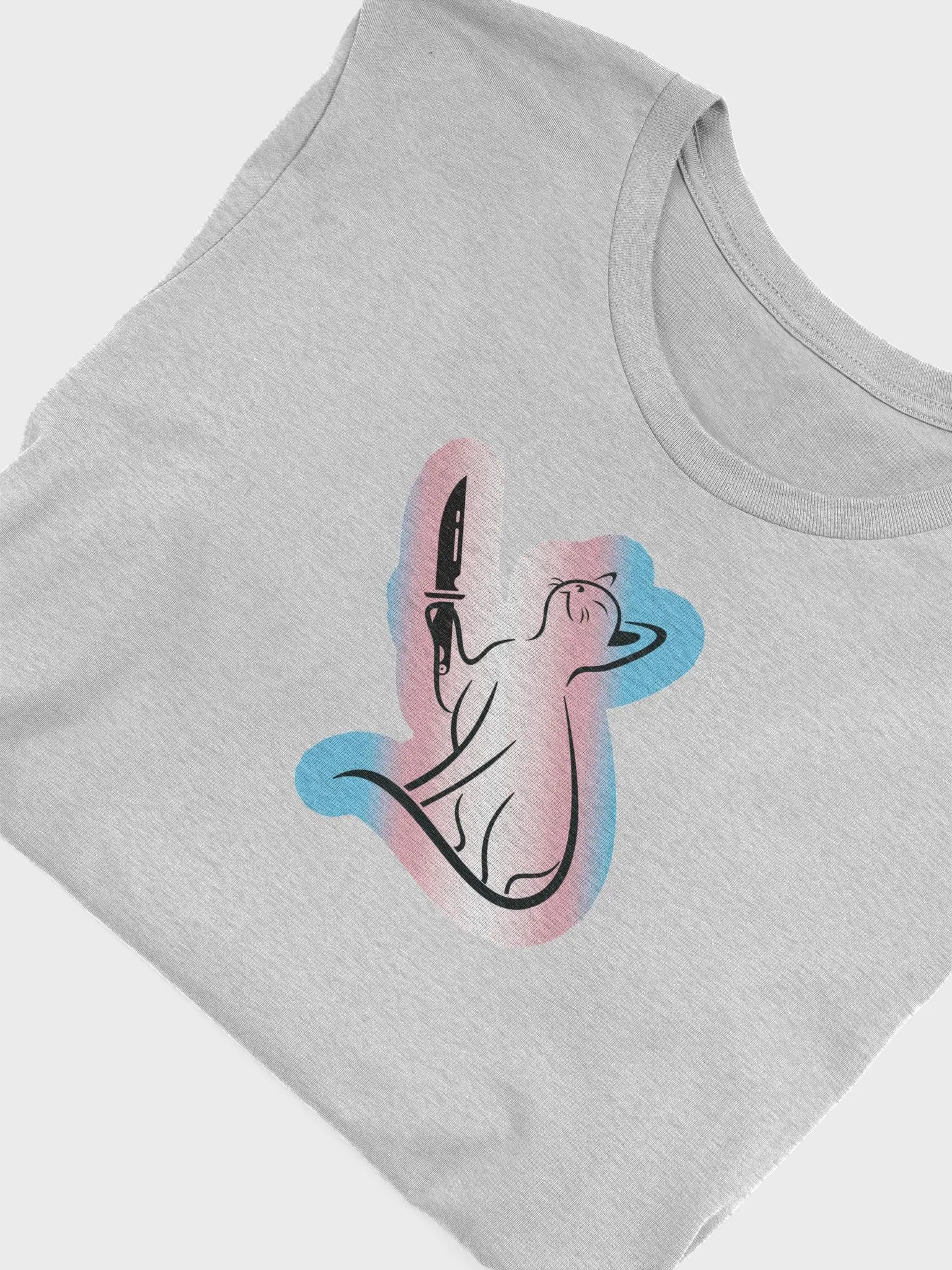 OkayishAF Trans Rights Cat product image (44)