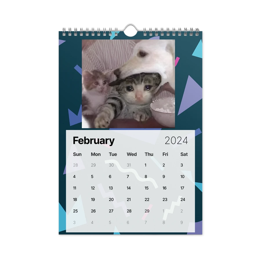 Wall Calendar (2024): Meme Cats product image (7)