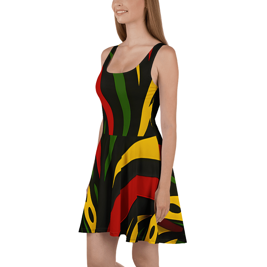Rasta Spirit Geometric Skater Dress product image (1)