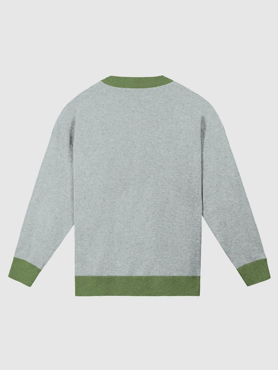 Gecko Garden Relaxed Crewneck Sweater product image (9)
