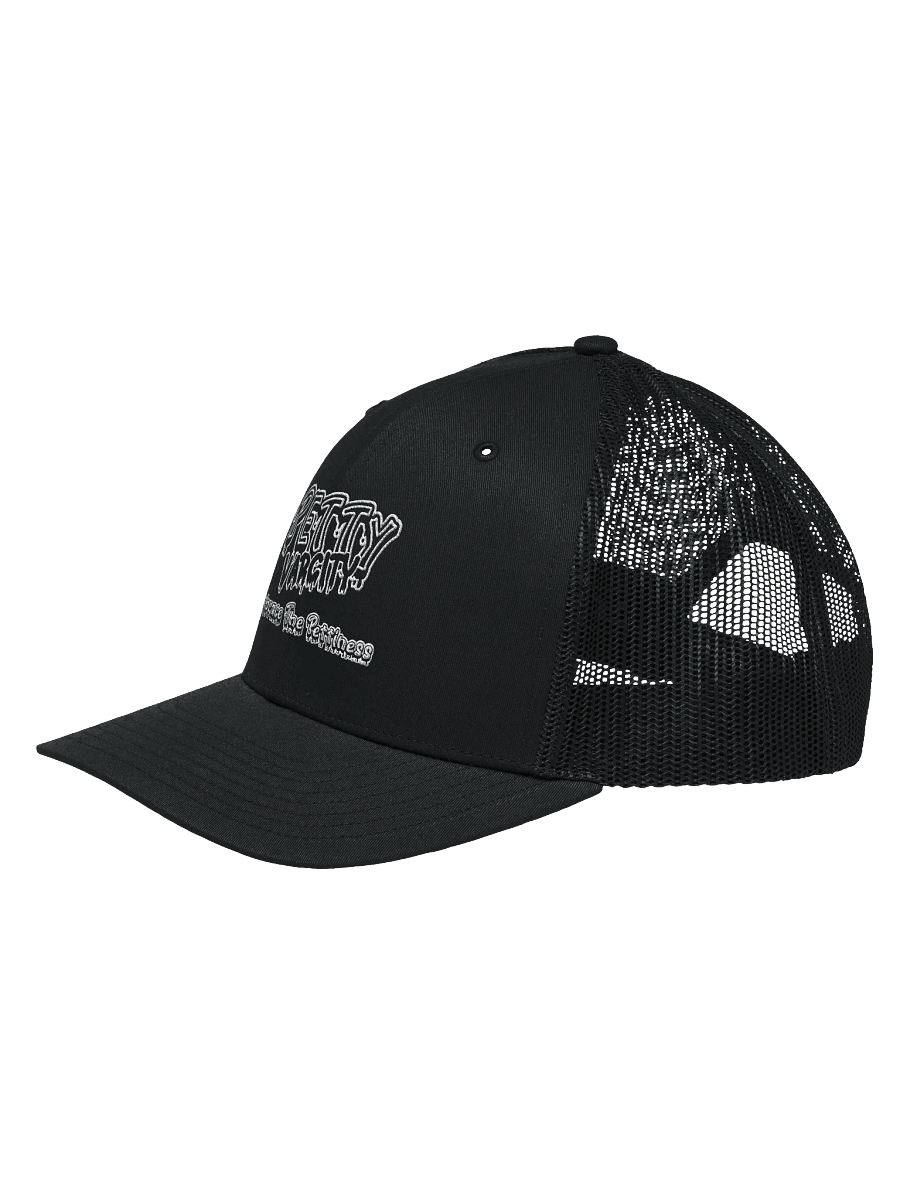 Petty Varcity Trucker Snapback product image (16)