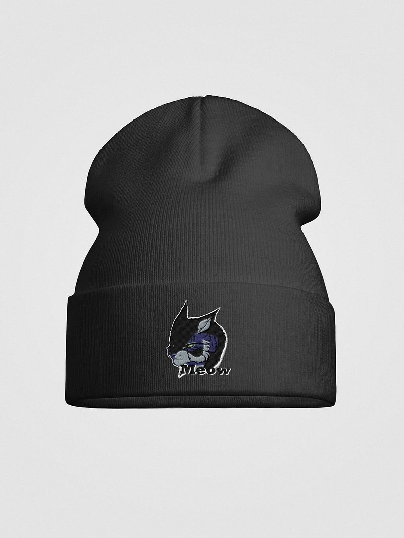 Barron Beanie 1