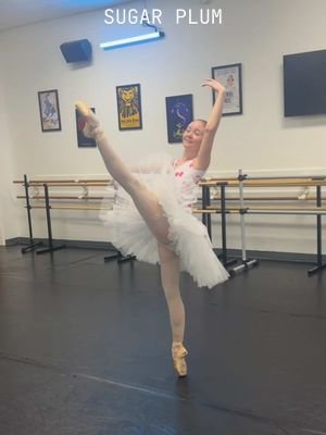 sugar plum debut in 18 days yayyyyy 🩷 #sugarplum #nutcracker #ballerina #ballet #ballettok @aprilgiangeruso @BLOCH Dance 