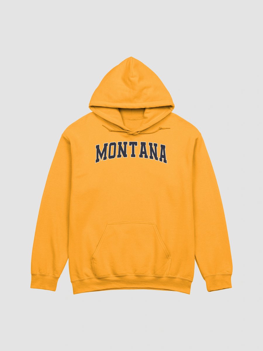 Montana Vintage Stylish Classic Hoodie product image (1)