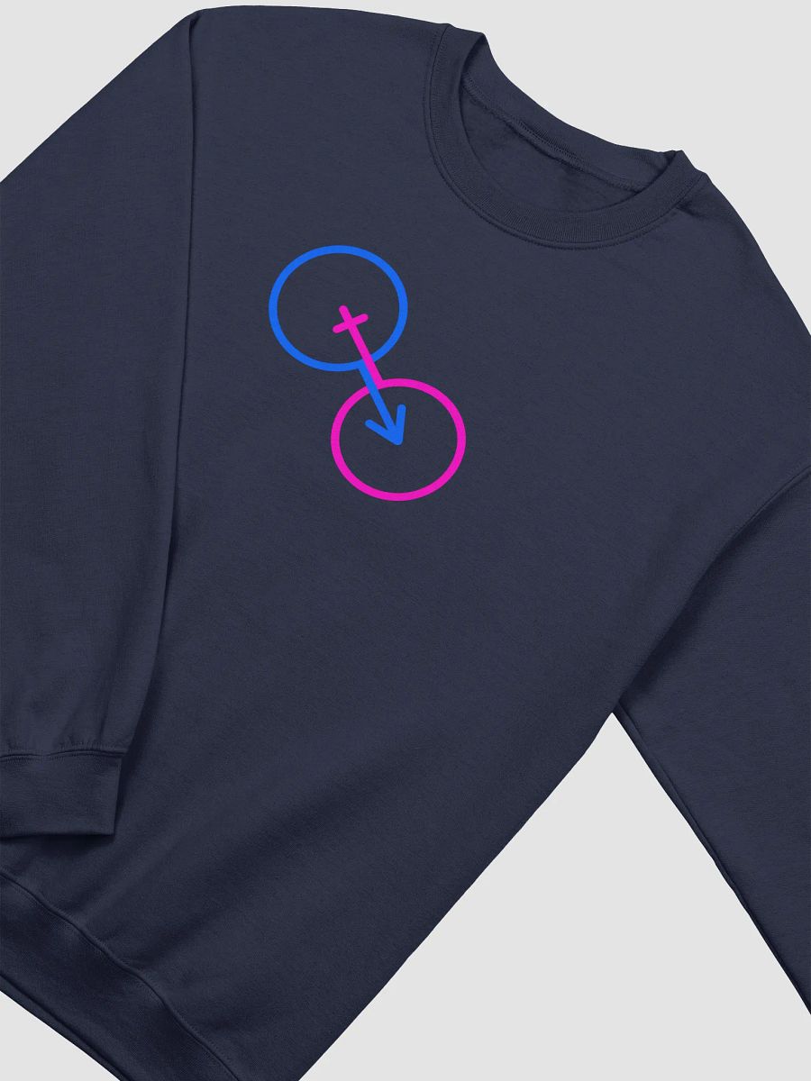 Two Genders Only Symbols Unisex Sweatshirt product image (3)