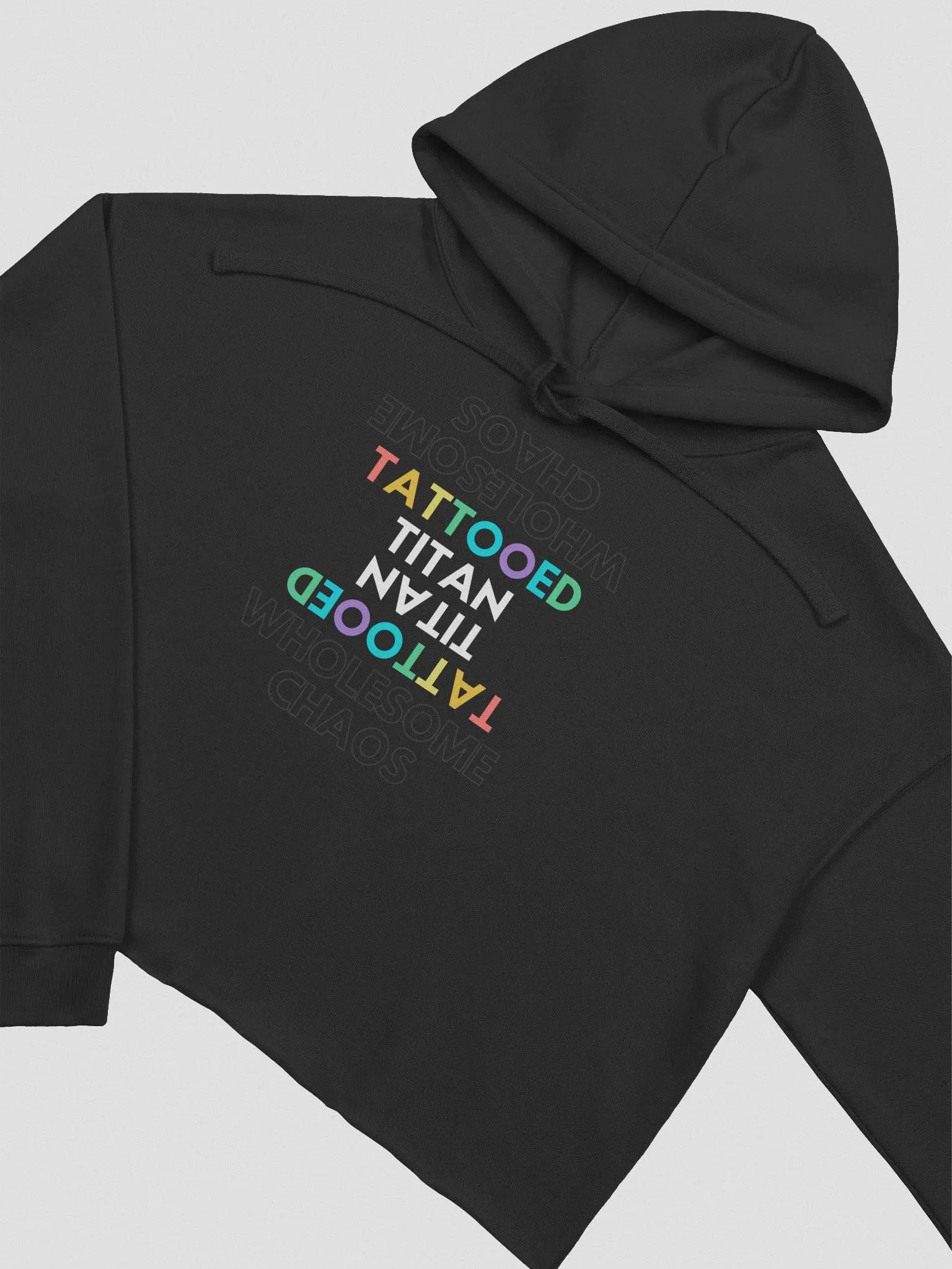 Wholesome Chaos Pride Cropped Hoodie product image (11)