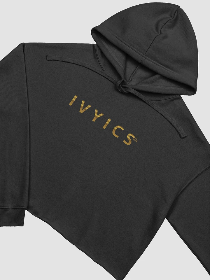 IVYICS ECO LADIES HOODIE product image (1)