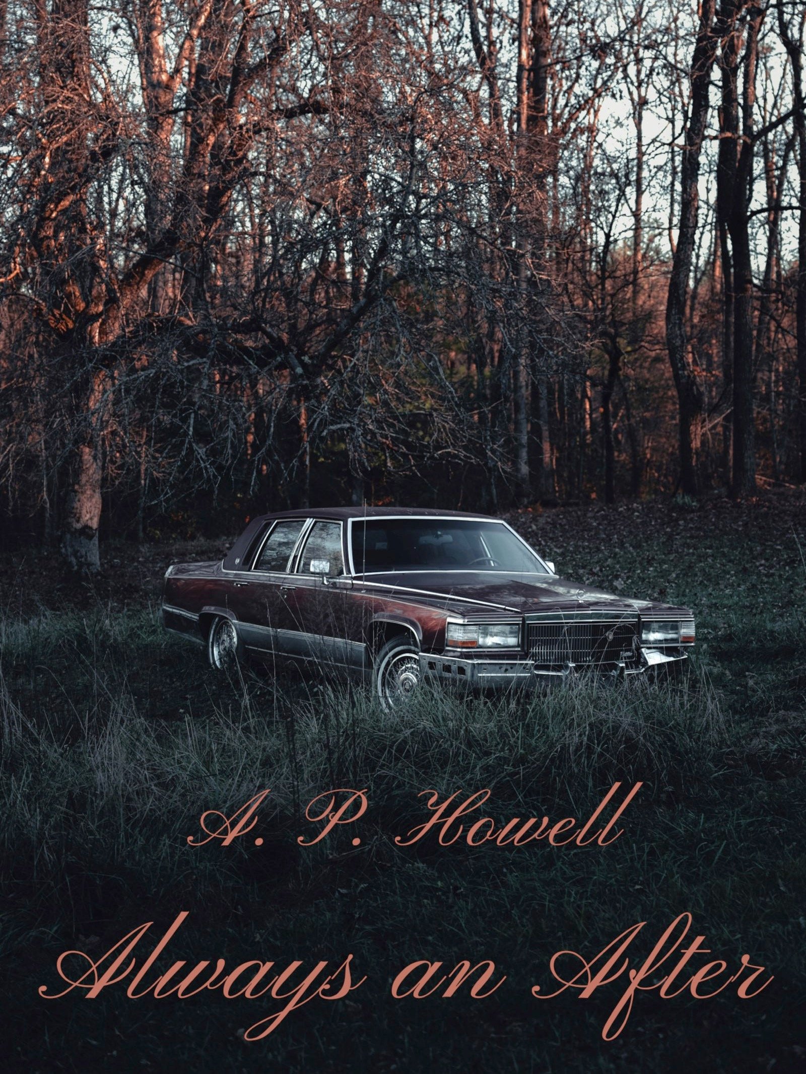 Always an After product image (1)