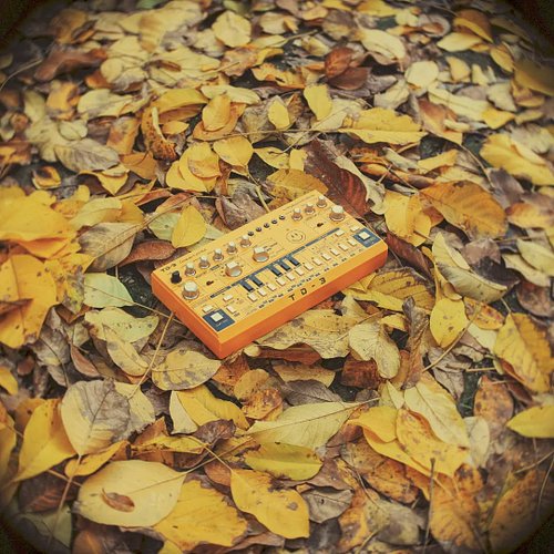 🍂 Find the TD-3 and win a Acid Trip to the land inside of your mind ✨