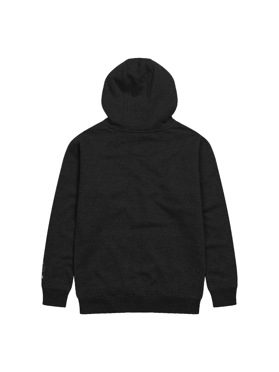 Hoodie Wealth Begins Within product image (3)