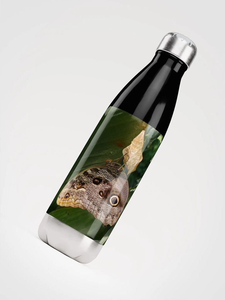 Tropical Owl Butterfly Stainless Steel Water Bottle product image (1)
