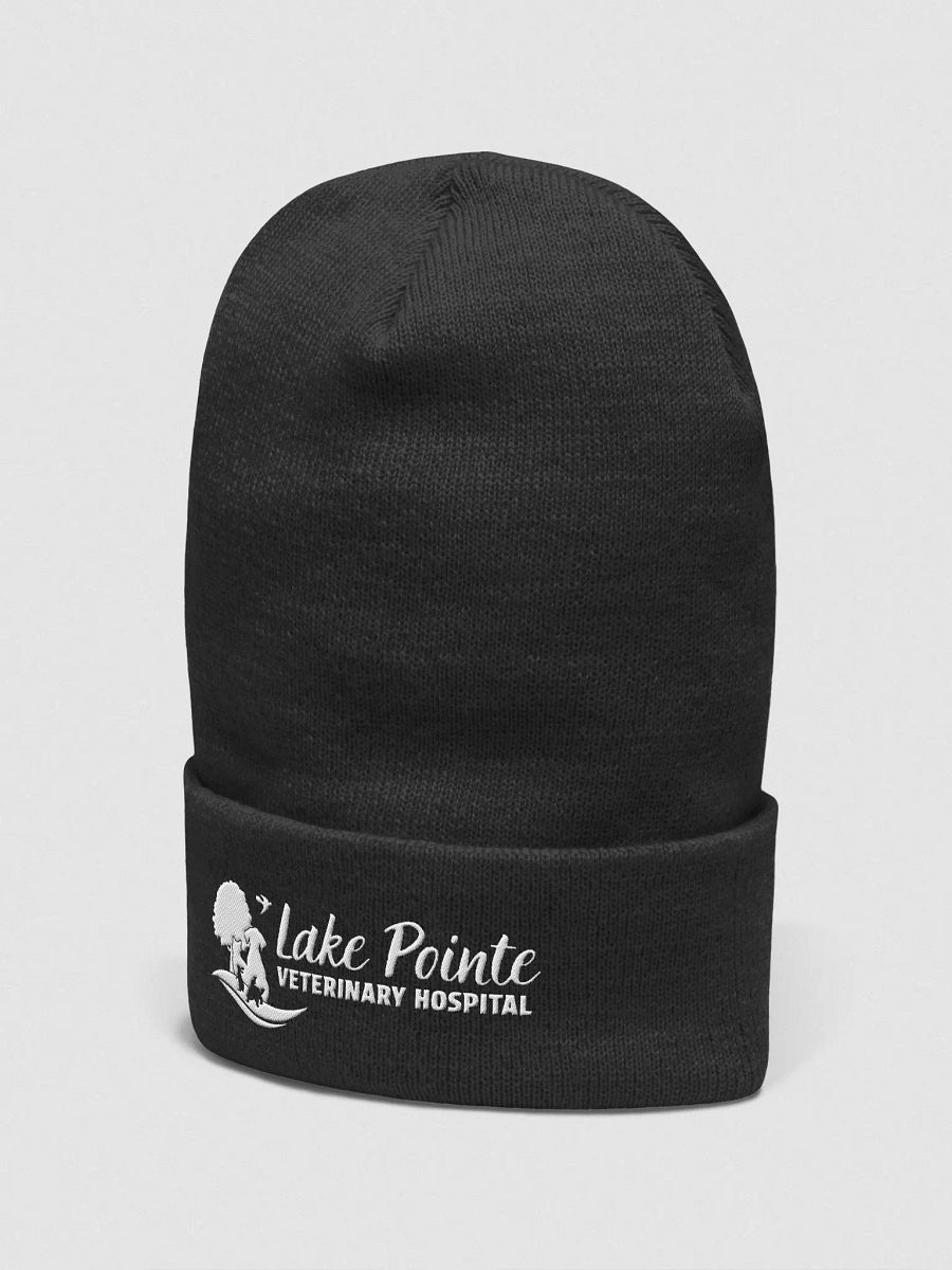 Elegant Embroidered Logo Beanie product image (20)