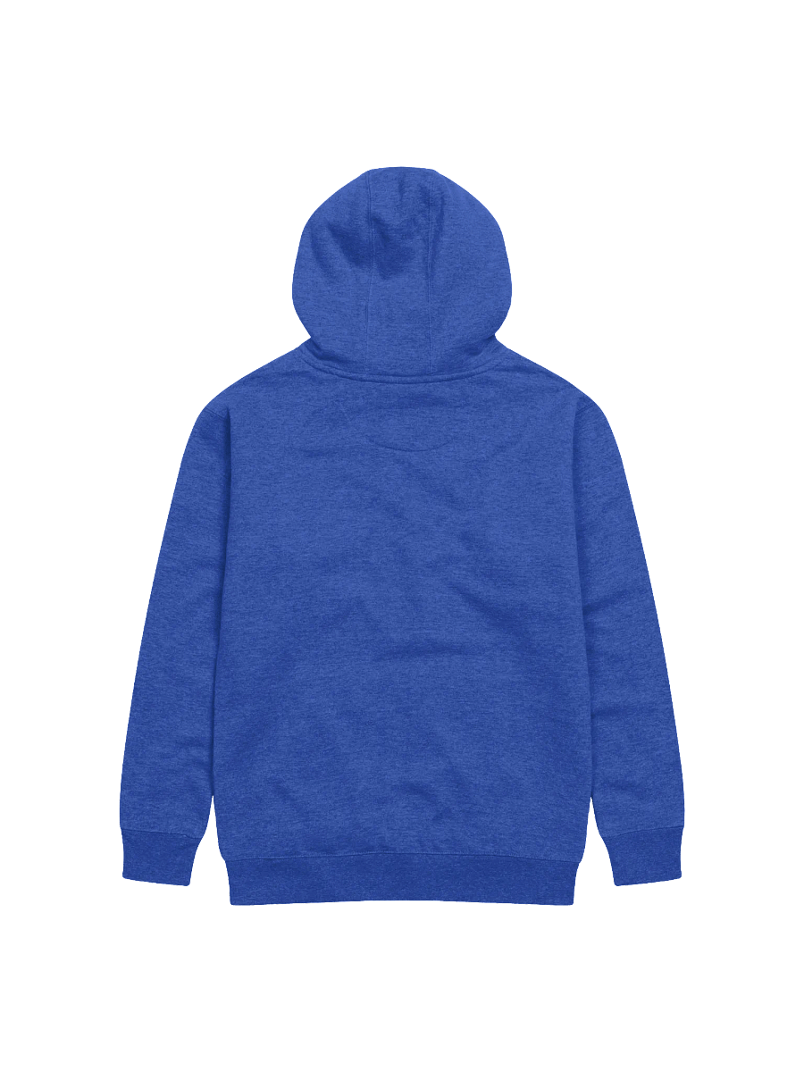Black-Backed Gulls unisex hoodie product image (11)