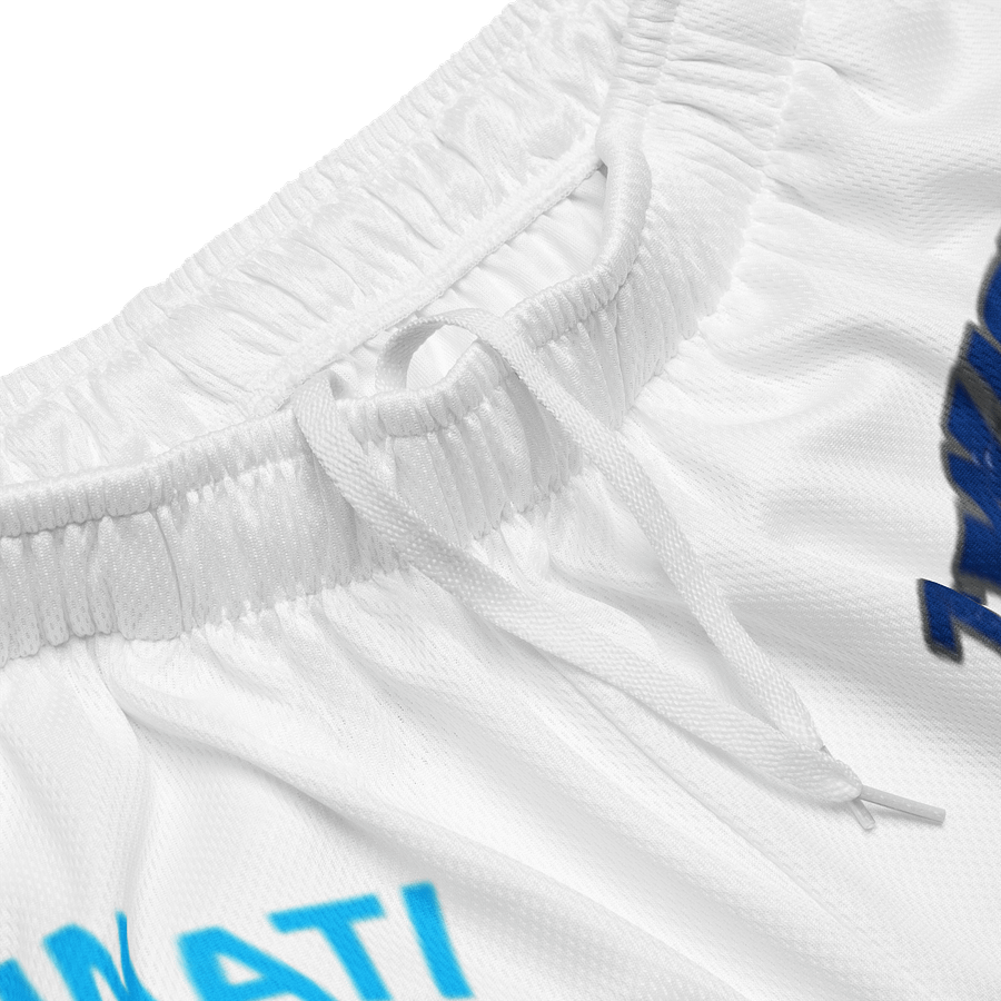 Dojo Shorts product image (3)