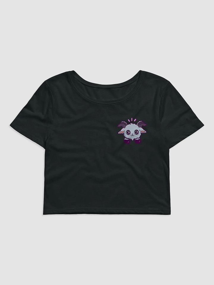 Top Chica product image (1)