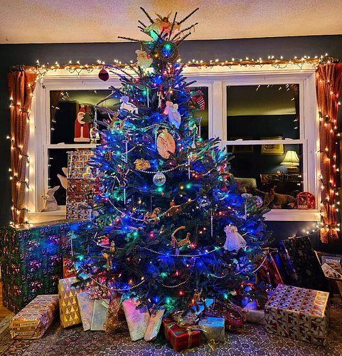 Merry merry ❄️🥂