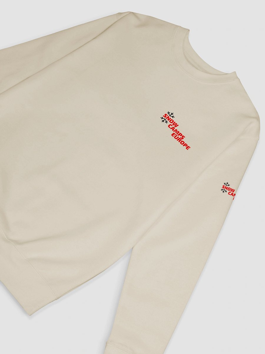 Fall. Learn. Repeat. Progress Sweater product image (12)
