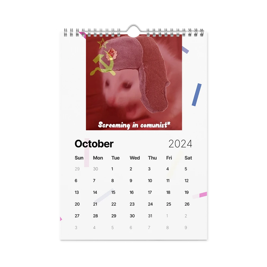 Wall Calendar (2024): Meme Cats product image (16)