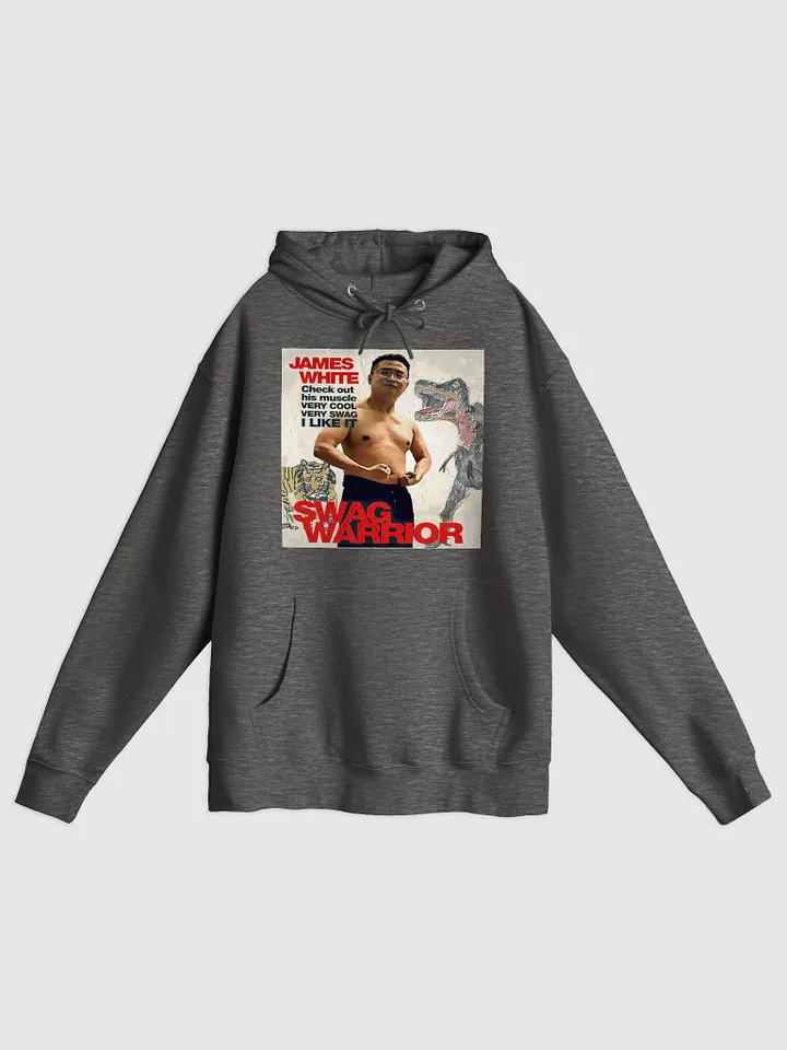 Lane Seven Premium Pullover Hoodie:swag warrior product image (4)