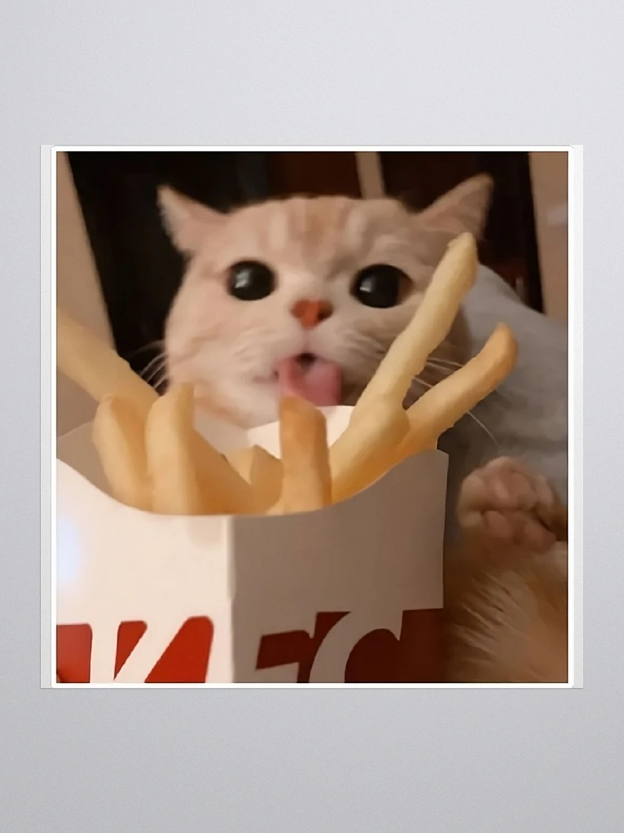 Kiss Cut Stickers: Meme Cats fries product image (1)