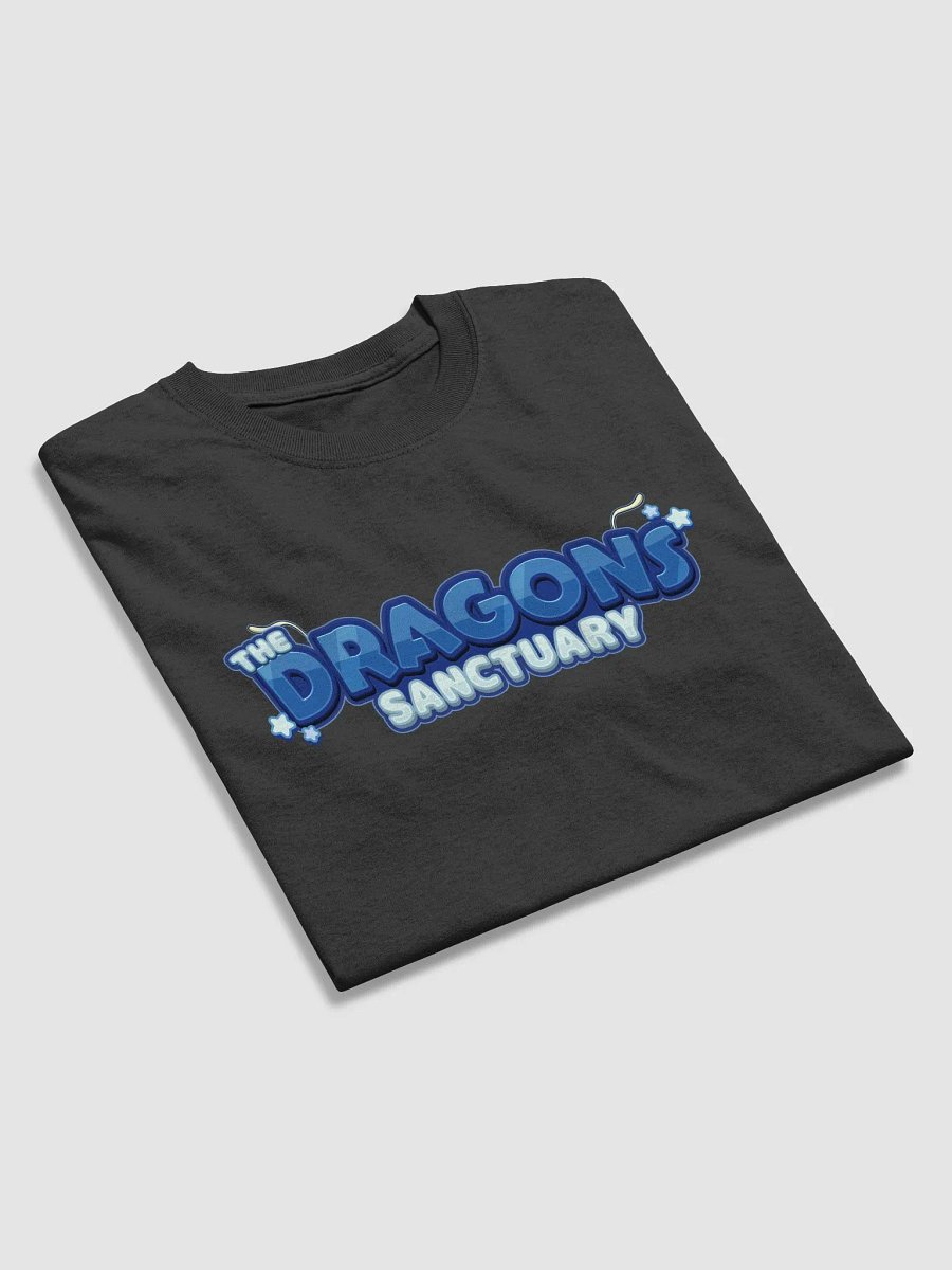 The Dragon Sanctuary Community T-Shirt product image (45)