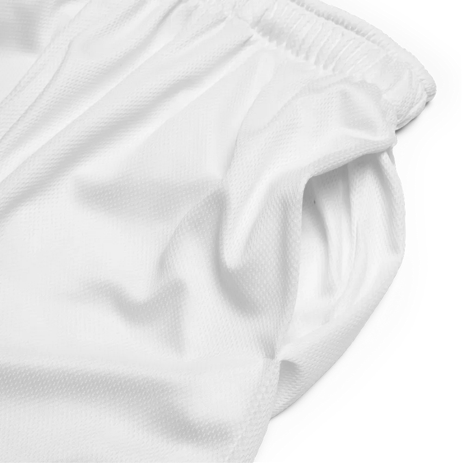 EGO Bold Mesh Shorts product image (2)
