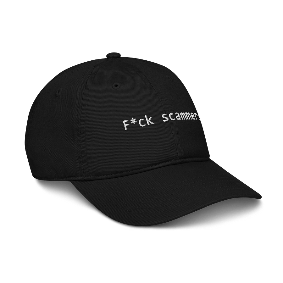 F*ck Internet Scammers product image (6)