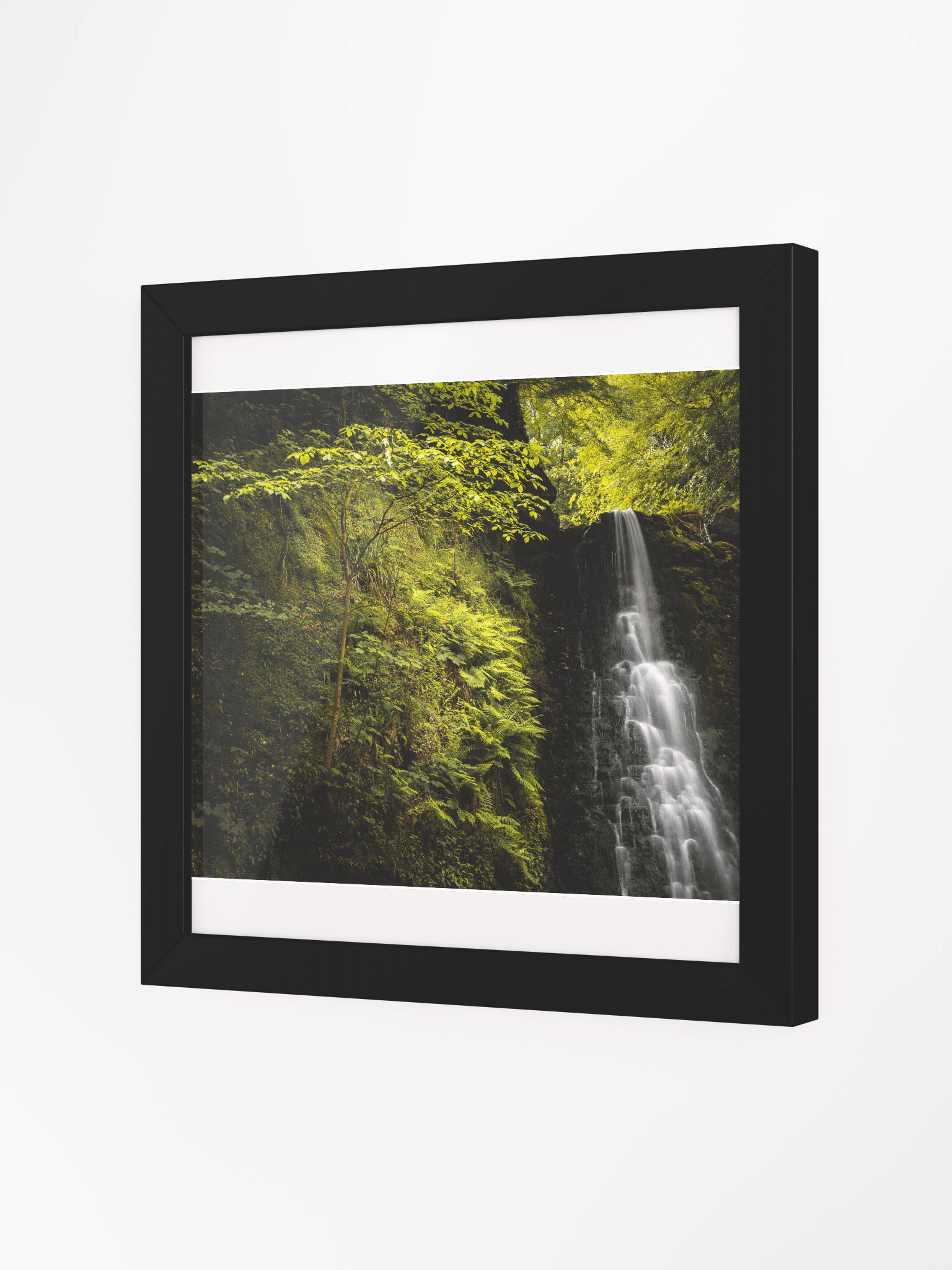 Falling Foss Sapling product image (8)