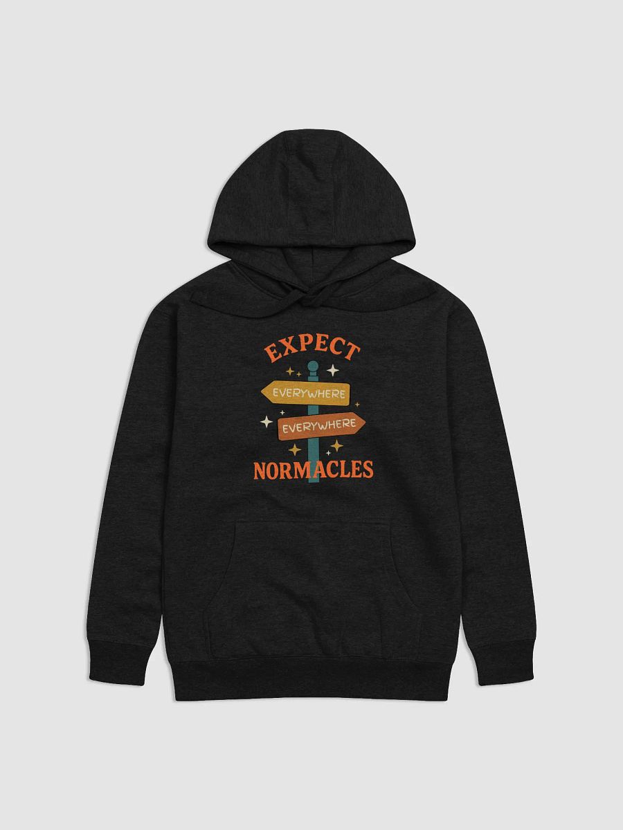 Expect Normacles Everywhere Hoodie product image (1)