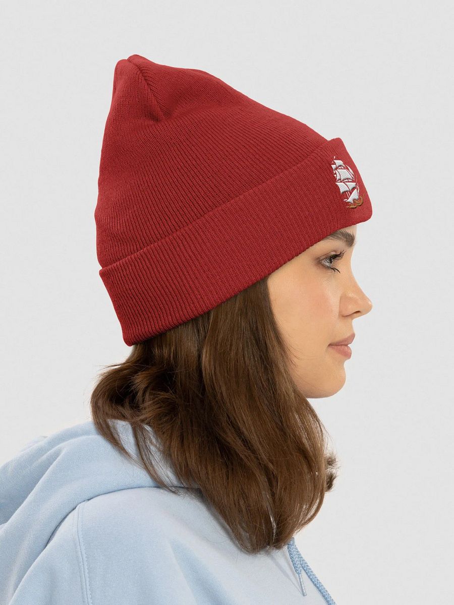 Armada Dodgeball Club Cuffed Beanie/Toque product image (35)
