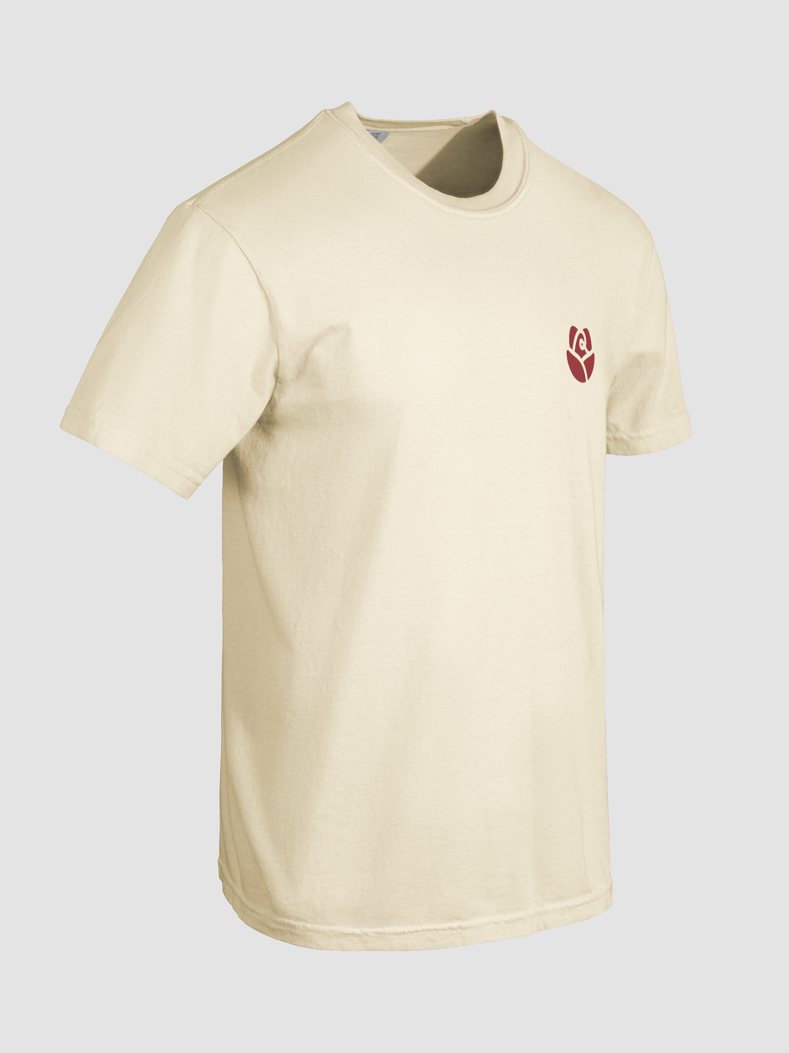 Comfort Colors Garment-Dyed Heavyweight T-Shirt product image (15)