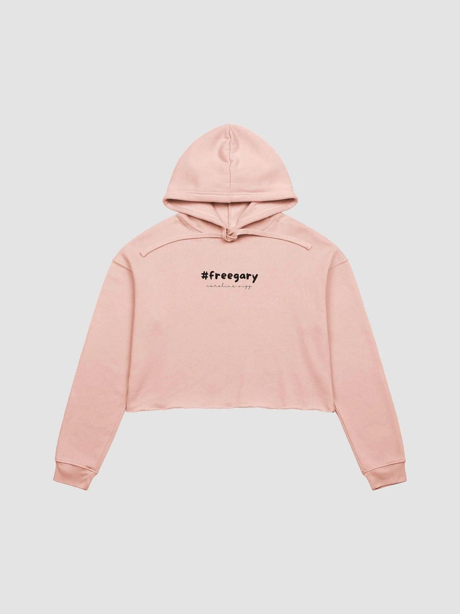 Free Gary Crop Hoodie - Light Colours product image (2)