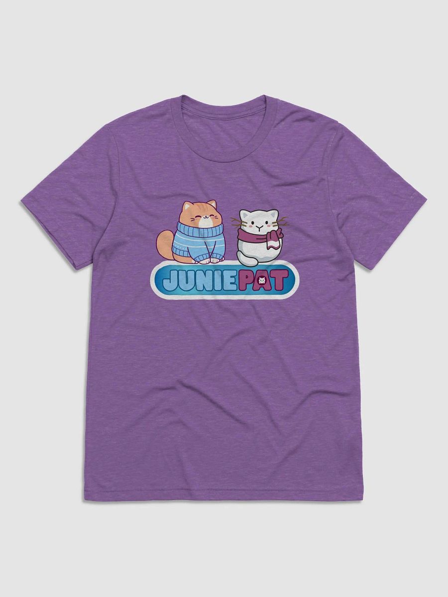 Winter Cool Cats Triblend Tee product image (29)