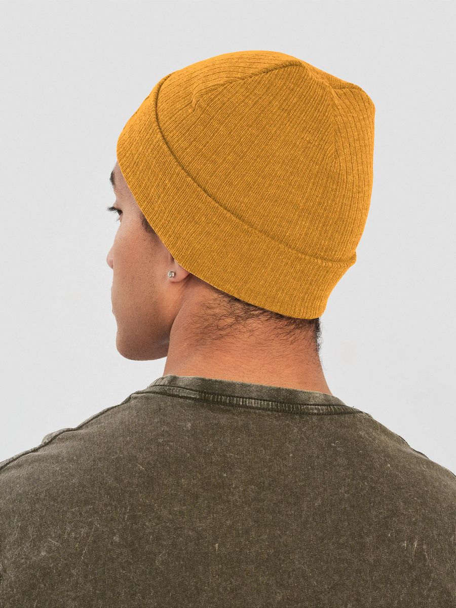 "not an expert..." Colour Beanie product image (5)