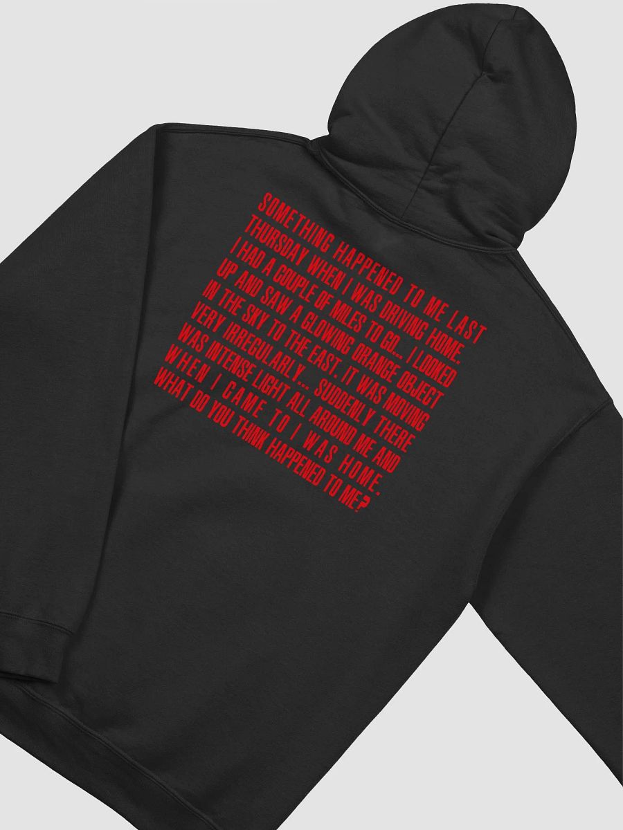 Fission Mailed Hoodie product image (4)