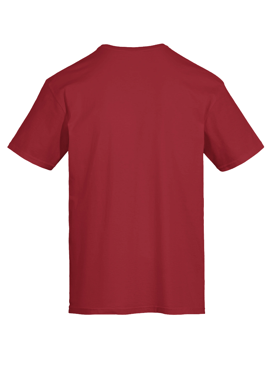 Fancy Lads T-Shirt "That's My Secret I'm Always Thinking About Disc Golf" product image (44)