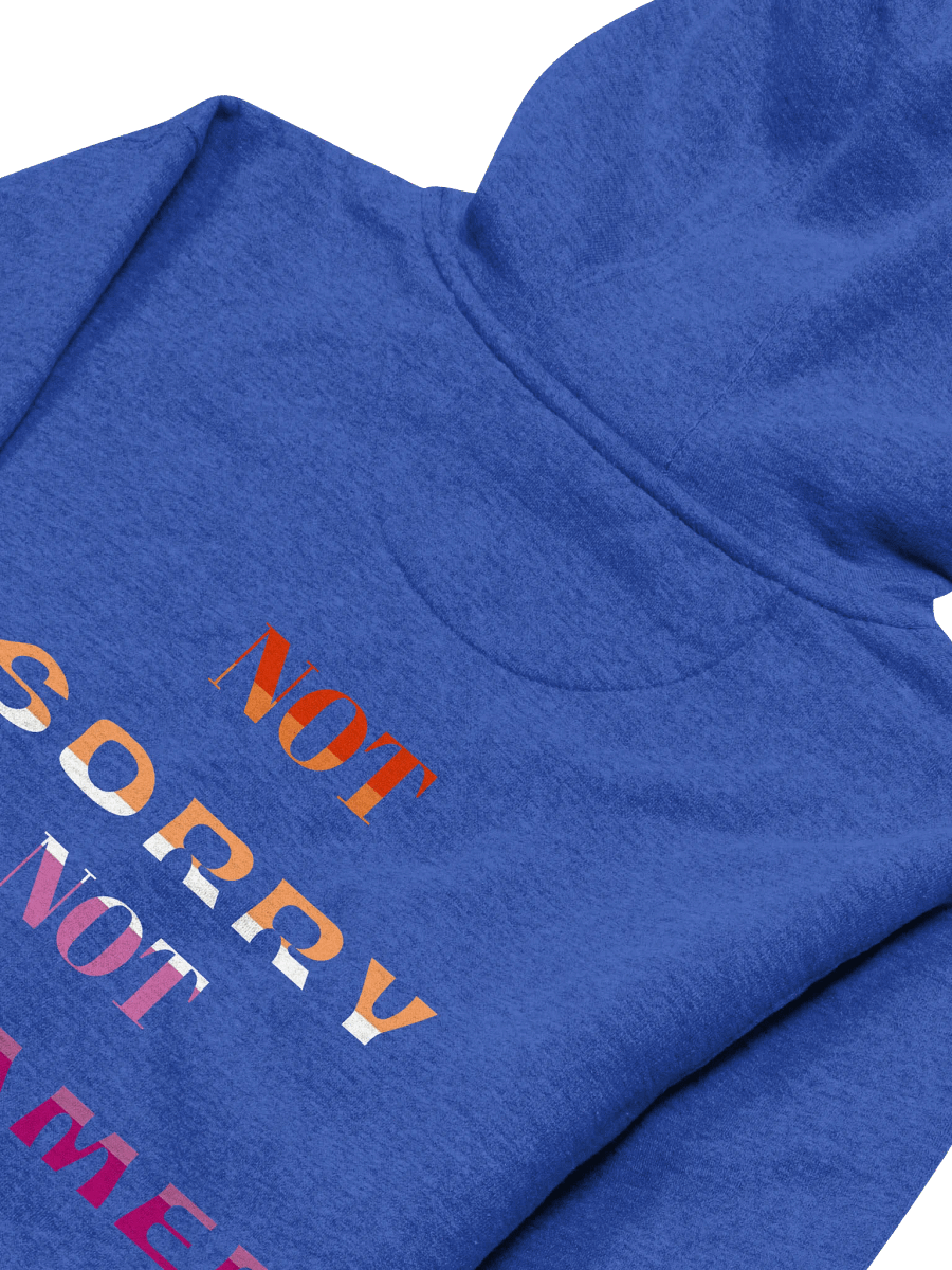 Not Sorry Not Ashamed (Lesbian Edition) product image (26)