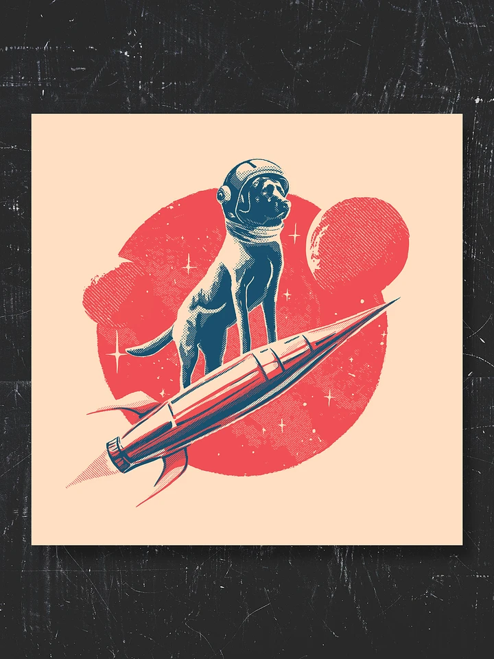 Rocket Dog product image (5)