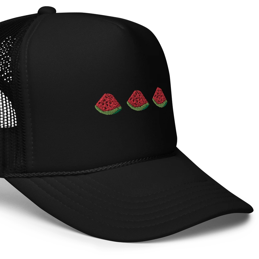 Sandia Trucker Hat (black) product image (5)