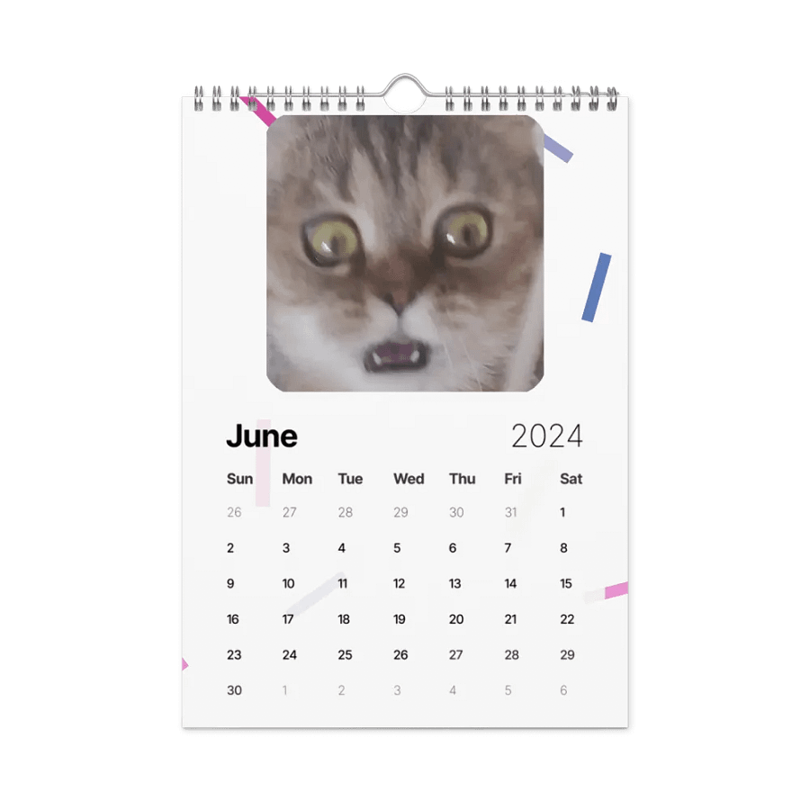 Wall Calendar (2024): Meme Cats product image (12)