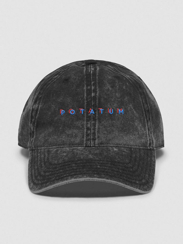 POTATUM 3D vintage wash dad hat product image (2)