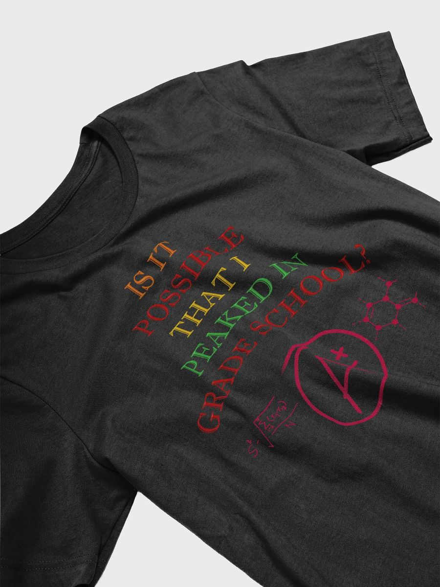 Is It Possible That I Peaked In Grade School? T-shirt product image (10)