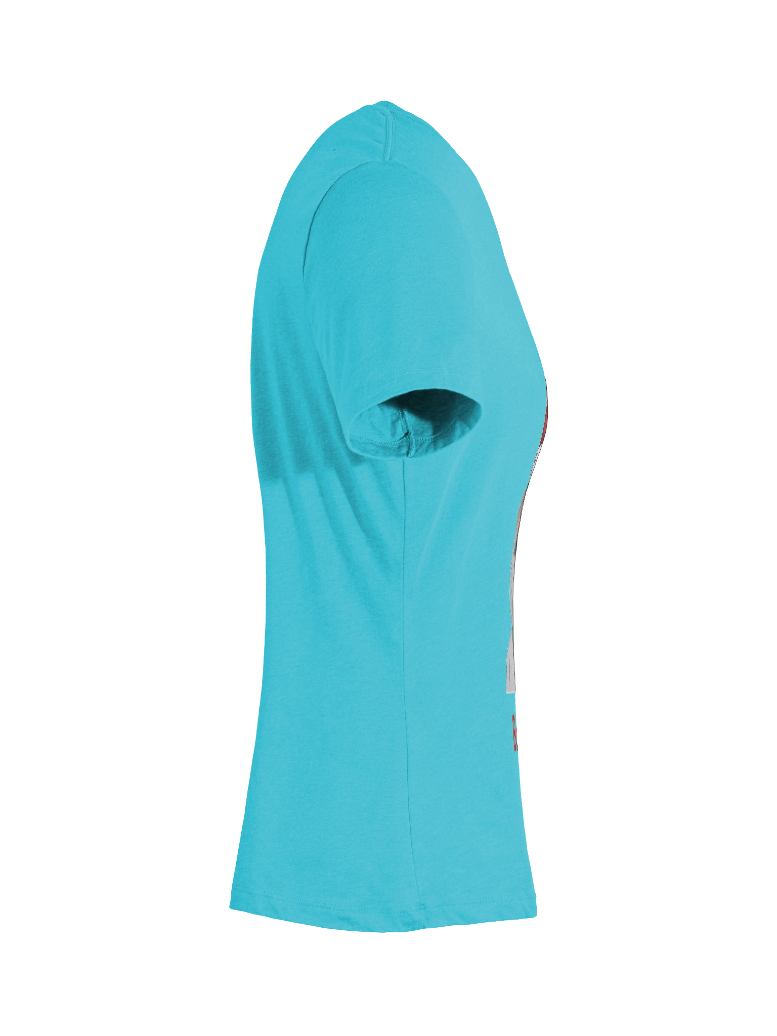 Women's Santa Boo Boo V Neck Tee Shirt product image (55)