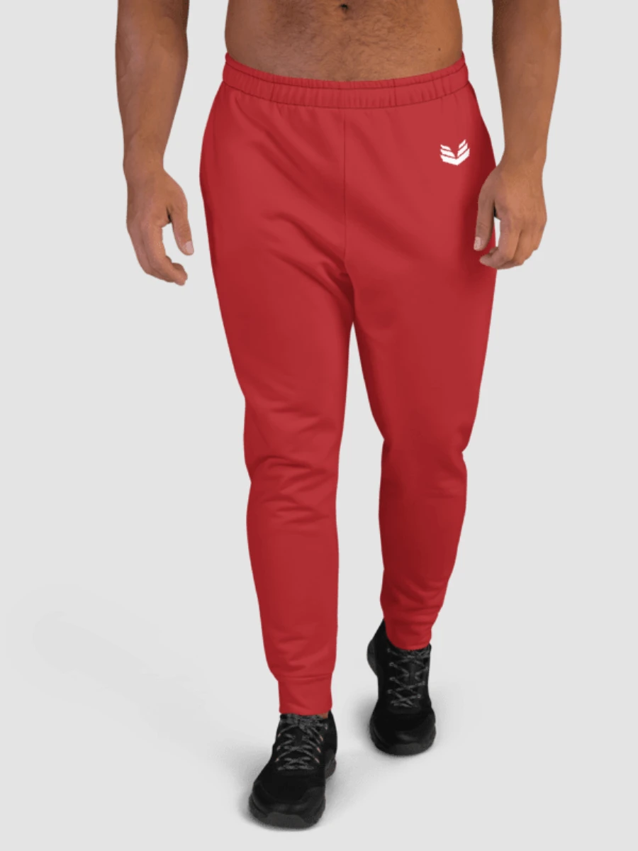 Joggers - Berry Red product image (2)